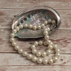 Natural Abalone Shell Mother of Pearl